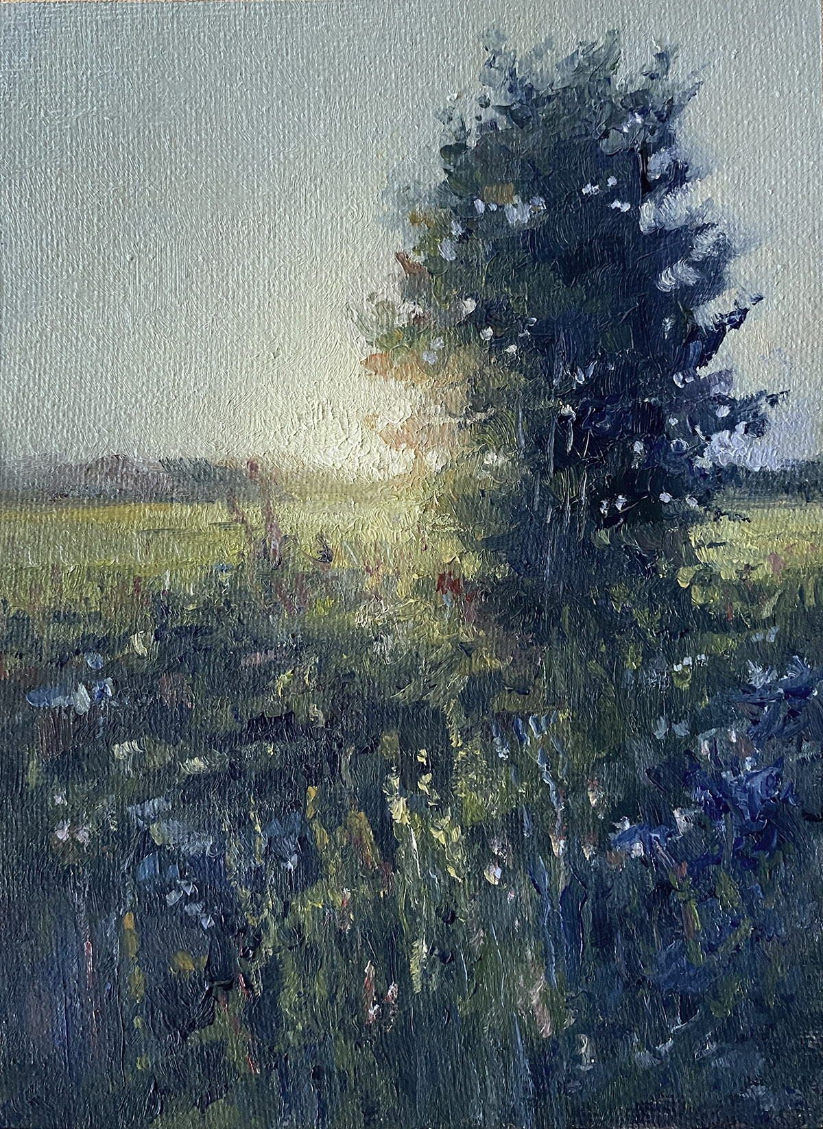 Tree painting with penetrating light, transparent air and soft foliage